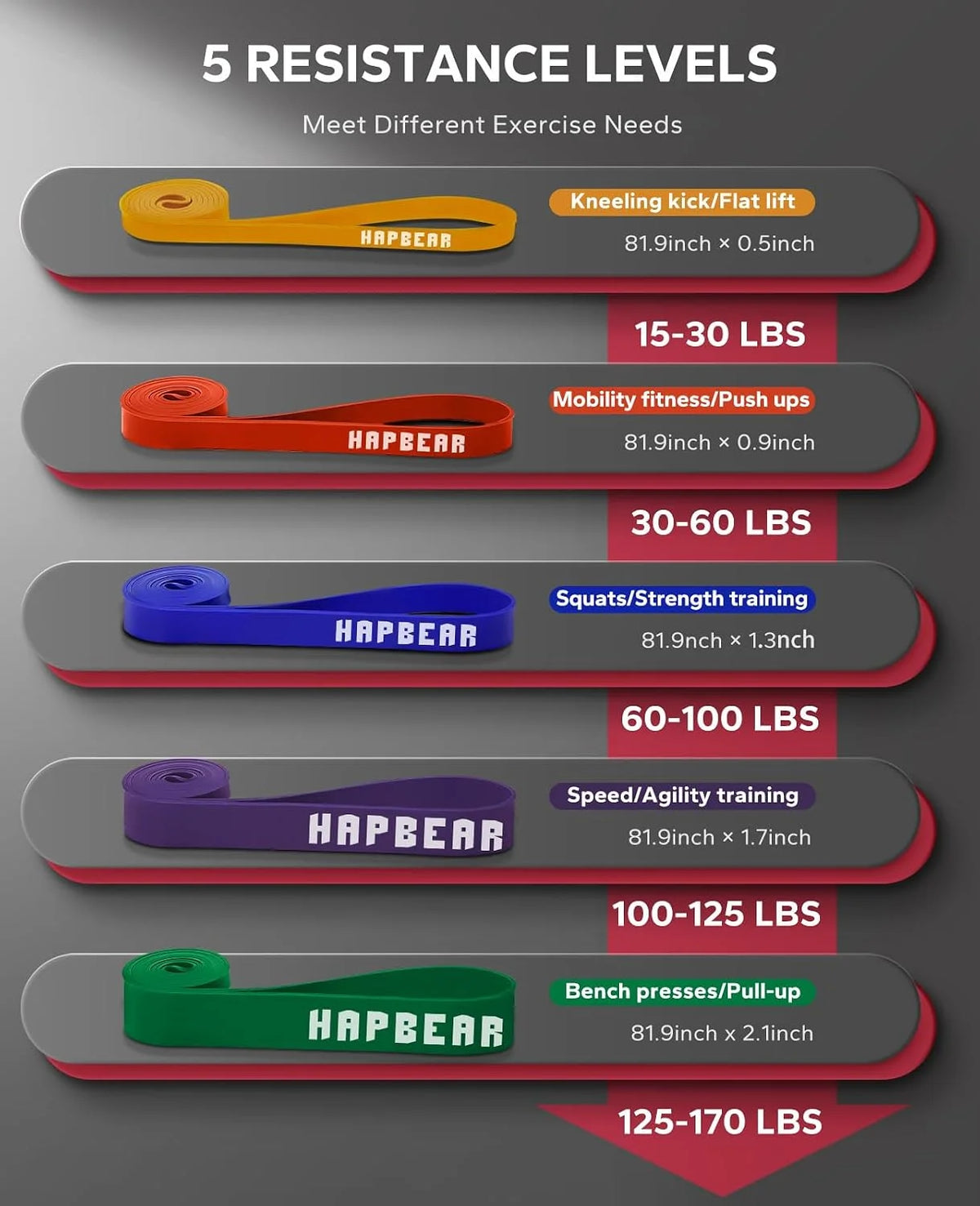 HAPBEAR Pull Up Assistance Bands Set of 5, Heavy Duty TPE Resistance Bands 5-125LBS, Anti-Snap Non-Slip Odorless Workout Bands for Pull Ups, Squat, Bench Press, Shoulder Press, Full Body Muscle Training, Home Gym Outdoor Fitn