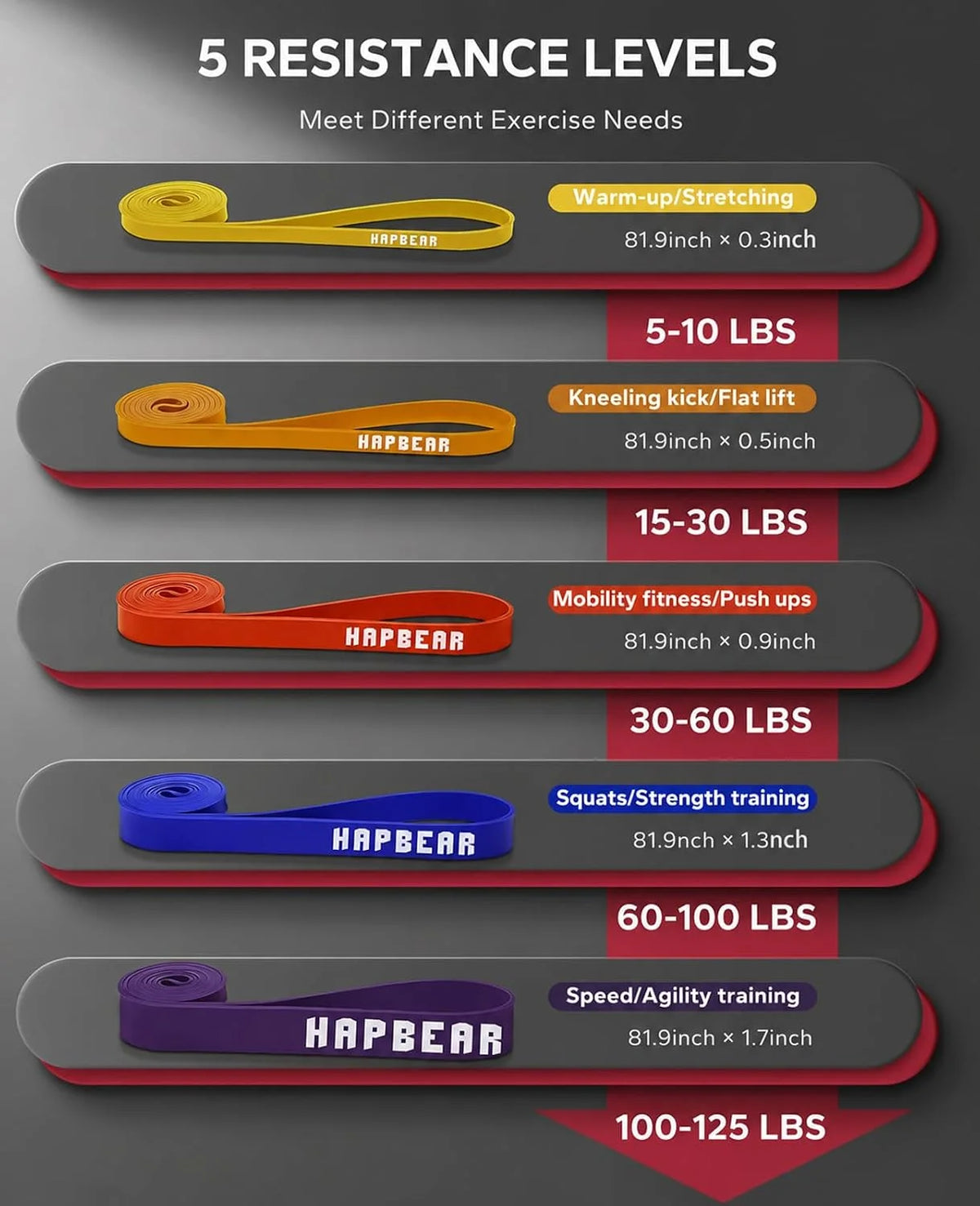 HAPBEAR Pull Up Assistance Bands Set of 5, Heavy Duty TPE Resistance Bands 5-125LBS, Anti-Snap Non-Slip Odorless Workout Bands for Pull Ups, Squat, Bench Press, Shoulder Press, Full Body Muscle Training, Home Gym Outdoor Fitn